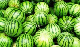 平时吃的西瓜怎么叫瓜,揭秘西瓜的别称与食用文化