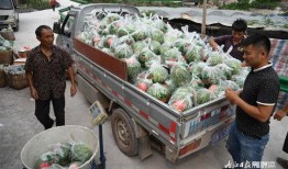 北化吃瓜,吃瓜群众视角下的校园生活点滴