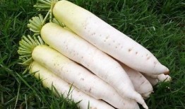 梦见吃小李瓜,揭秘吃小李瓜的神秘寓意