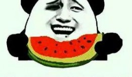 吃瓜的精髓,揭秘娱乐圈幕后真相