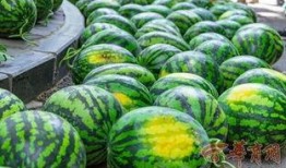 巢湖上网课吃瓜,揭秘网络课堂的趣味瞬间