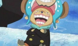 op俱乐部吃瓜,一场吃瓜盛宴背后的真相