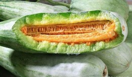 景泰甜瓤瓜怎么吃,景泰甜瓤瓜的多样食法探索