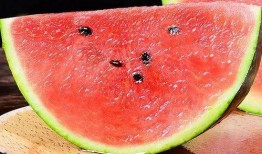 济宁圣达吃瓜,吃瓜群众的欢乐盛宴