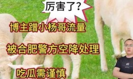 凿哥吃瓜博主,揭秘网络红人凿哥吃瓜背后的故事