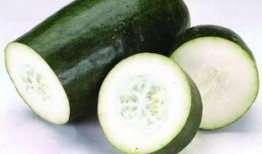 长垣热门吃瓜,揭秘当地美食背后的故事与传说