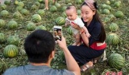 吃瓜群众图片瓜田