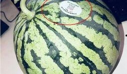 网红椅子吃瓜,椅子界的“瓜王”诞生！