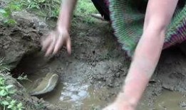 美女吃瓜比赛奖励,吃瓜达人赢取丰厚大奖