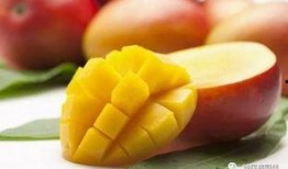 糖尿病人可以吃甜梨瓜吗,甜梨瓜的食用指南