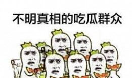 吃瓜复制粘贴,娱乐圈最新事件深度解析