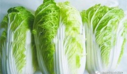 吃瓜唐十八吃瓜大白,揭秘娱乐圈的瓜田秘闻