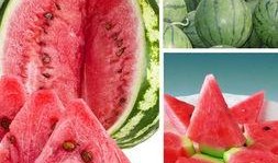 吃看瓜的好处