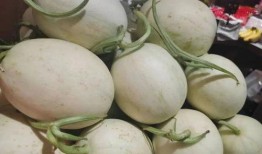 流调 吃瓜,吃瓜群众如何成为疫情追踪的关键力量