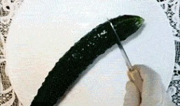 吃瓜gif 表情包,揭秘网络时代的幽默密码