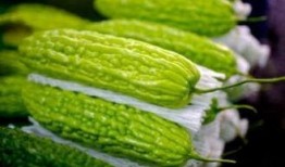 大暑吃角瓜,传统美食与健康养生两不误