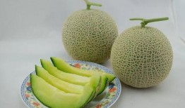 带你吃瓜熔岩包,带你探索带你吃瓜的火山奥秘