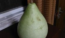 广西一男吃瓜,广西男子意外成为“吃瓜群众”焦点事件追踪