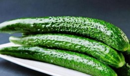 coco比奇小黄吃瓜,一场欢乐的夏日盛宴