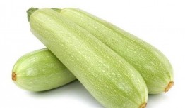 长垣热门吃瓜,揭秘当地美食背后的故事与传说