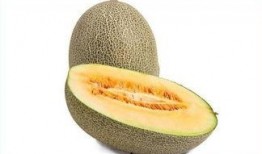 吃哈密瓜会舌头麻,揭秘舌头麻的神秘现象