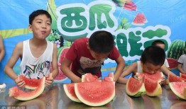 吃瓜群众夏天游戏