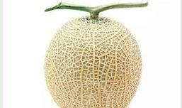 吃瓜这样才过瘾