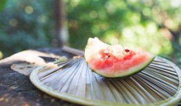 世界最强吃瓜视频,揭秘世界最强吃瓜视频背后的惊人真相