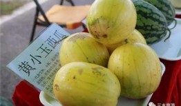 吃瓜协会全部,全民娱乐时代的幕后推手