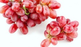 吃完佛手瓜可以吃提子吗,同餐共食的搭配建议