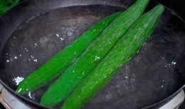 农村吃瓜村的做法,揭秘乡村夏日生活趣味