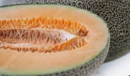 吃哈密瓜会舌头麻,揭秘舌头麻的神秘现象