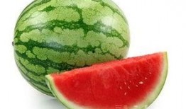 哪有瓜吃,探寻“哪有瓜吃”背后的生活智慧与趣味