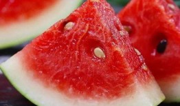 莆田疫情吃瓜,追踪病毒传播，揭秘防控举措与社区生活变迁