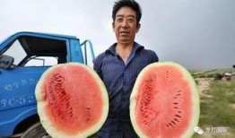 全国吃瓜爆笑视频,笑料百出，欢乐无限