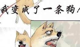 收养吃瓜小说,吃瓜少女的逆袭养娃记