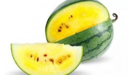 菏泽吃瓜日记,揭秘当地美食风情