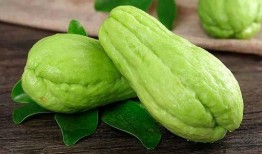 泊头师范吃瓜,一场吃瓜盛宴背后的校园风云