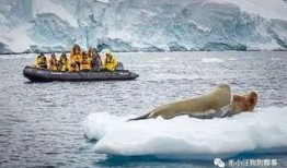 吃瓜大船,一场别开生面的网络狂欢盛宴