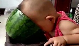 小祖宗吃瓜群众,揭秘娱乐圈幕后风云