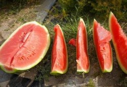 讷河市吃瓜,瓜果飘香，品味生活新篇章