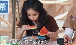 焦急吃瓜,揭秘娱乐圈的幕后风云