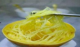 金丝绞瓜的瓜仔怎么吃