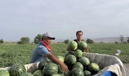 每天在吃瓜现场,揭秘娱乐圈最新热点事件