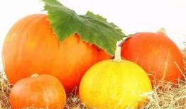 温某吃大瓜,揭秘娱乐圈幕后故事