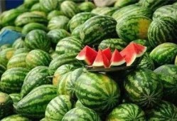 乾隆吃瓜什么道理,品味历史中的智慧与幽默