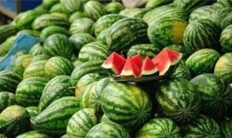 乾隆吃瓜什么道理,品味历史中的智慧与幽默