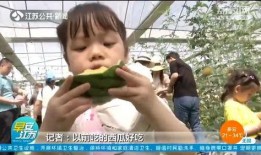 南京工程院吃瓜,揭秘科研界的“吃瓜”事件