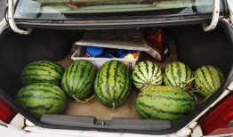 神仙吃瓜系统,揭秘娱乐圈幕后风云