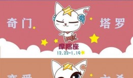 吃瓜大星星,娱乐圈的“瓜王”传奇